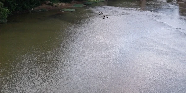 Bellewood and Brooklawn - Brooklawn Campus